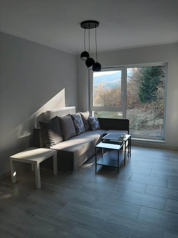 Apartament Lilu Шклярска Поремба Екстериор снимка