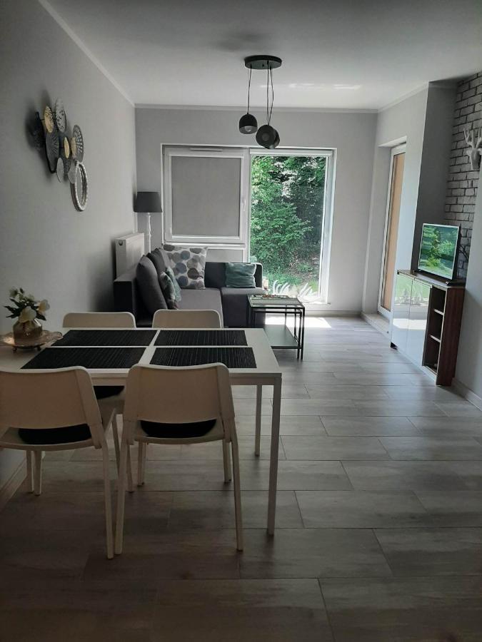 Apartament Lilu Шклярска Поремба Екстериор снимка